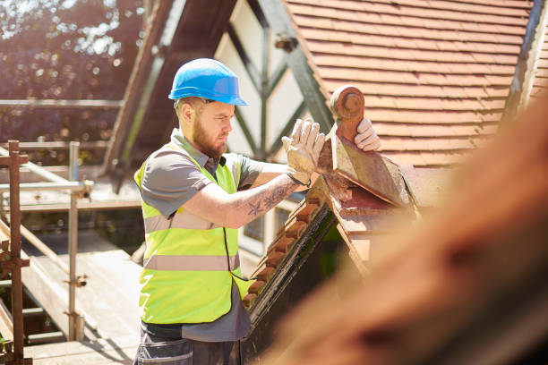 Best Metal Roofing Contractor  in Rockford, IL